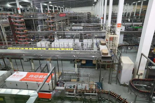 獨家優品價高何解？內地游客眼中的香港食品出口新觀察